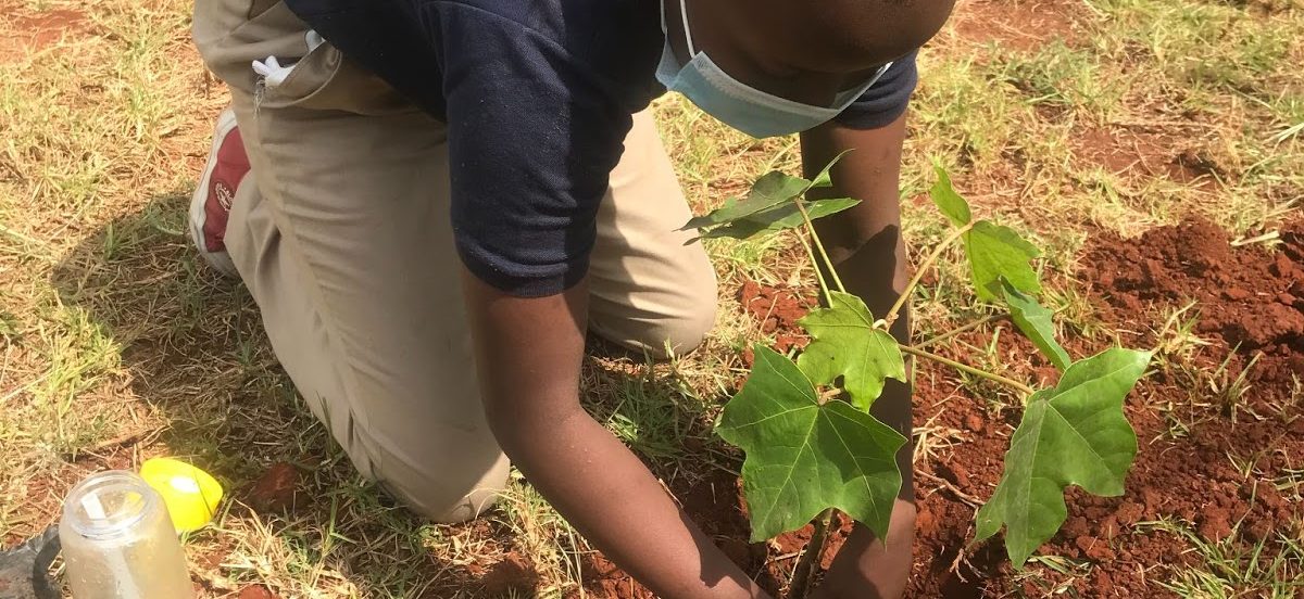 On Friday 11th June 2021, the learners at Tatu Primary planted a total of 100 trees in our school that would not only benefit the environment but also for educational purposes in improving children’s learning.  		 			 				 					 						 							 								 							 						 						 							 								Grade 3 G