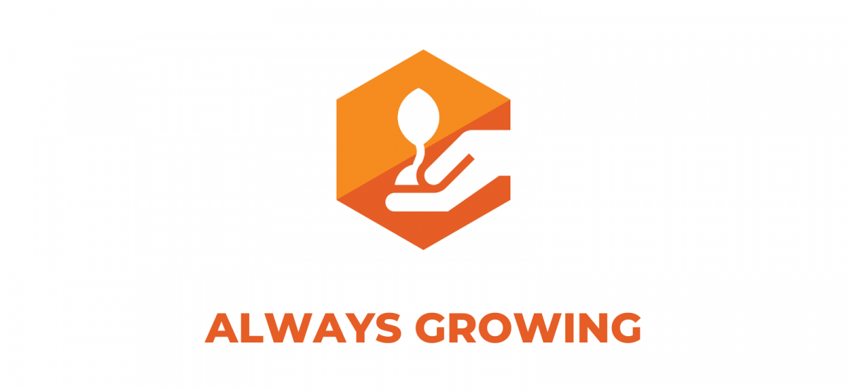 How to Prepare Your Child for CBE Senior School Pathway Selection